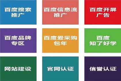 百度推广公司案例解析：如何通过百度推广实现品牌升级