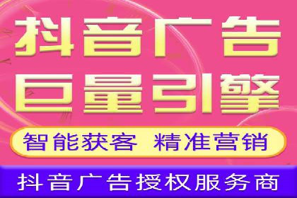 行业专家解析SEM代运营成功案例